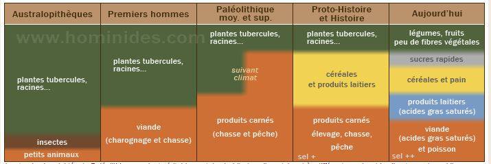 Régime alimentaire humain au fil de l'évolution